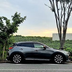 CX-3 DKEFW