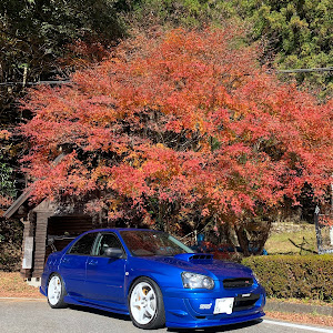 インプレッサ WRX STI GDB