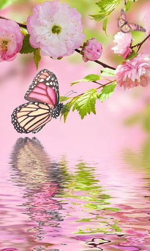 HD Pink Flowers Live Wallpaper