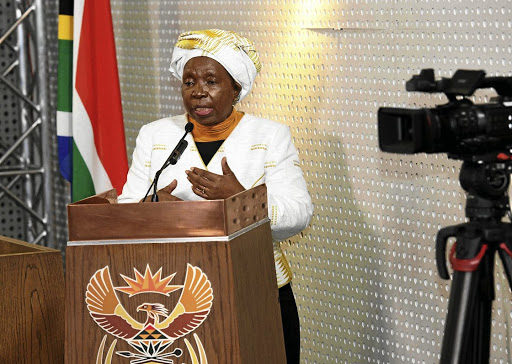 President Cyril Ramaphosa and Nkosazana Dlamini-Zuma have to be lauded for tirelessly ensuring that South Africa contains the coronavirus pandemic. /Jairus Mmutle/GCIS