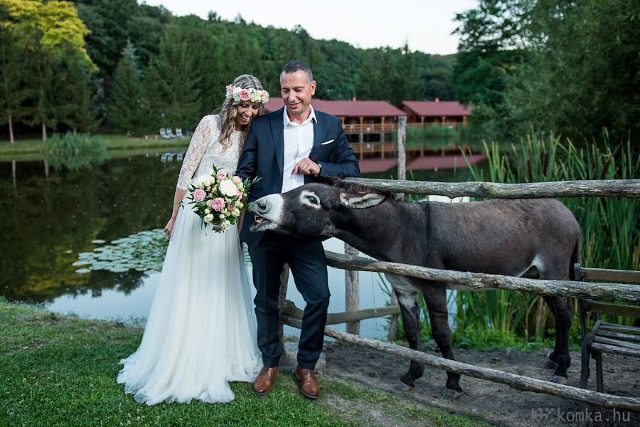 Hochzeitsfotograf Peter Komka (peterkomka). Foto vom 24. Februar 2019