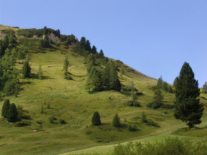 Verde Val Badia di Kyughs