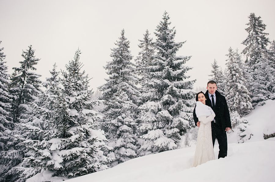 Fotograf ślubny Karlo Gavric (redfevers). Zdjęcie z 24 września 2015