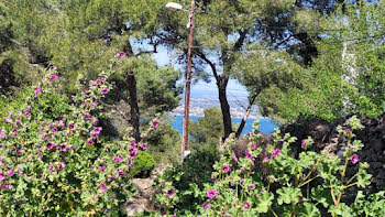 terrain à Cannes (06)