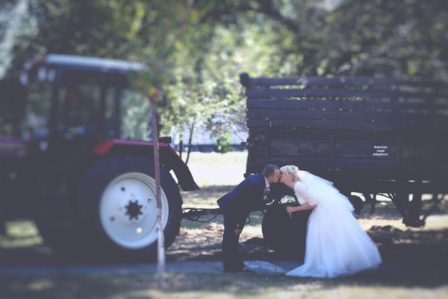 Hochzeitsfotograf Ekaterina Ivashkina (ivashkinakate). Foto vom 24. Januar 2015