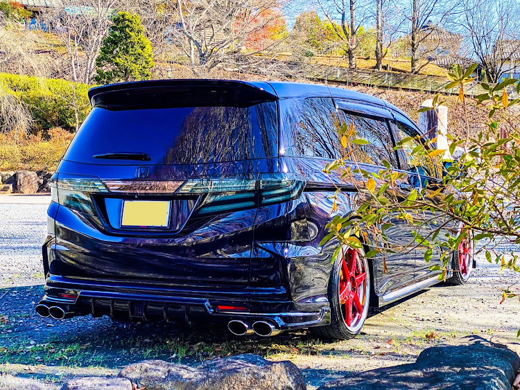オデッセイのclub.M・♬この木 なんの木  気になる木〜に関するカスタム事例の投稿画像1枚目