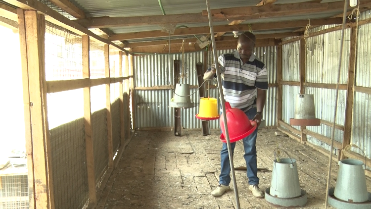 Christopher Maina, a poultry farmer from Thika in Kiambu county started his venture in 2014, but he has had to abandon his business which had 3,000 birds due to the high cost of feeds.