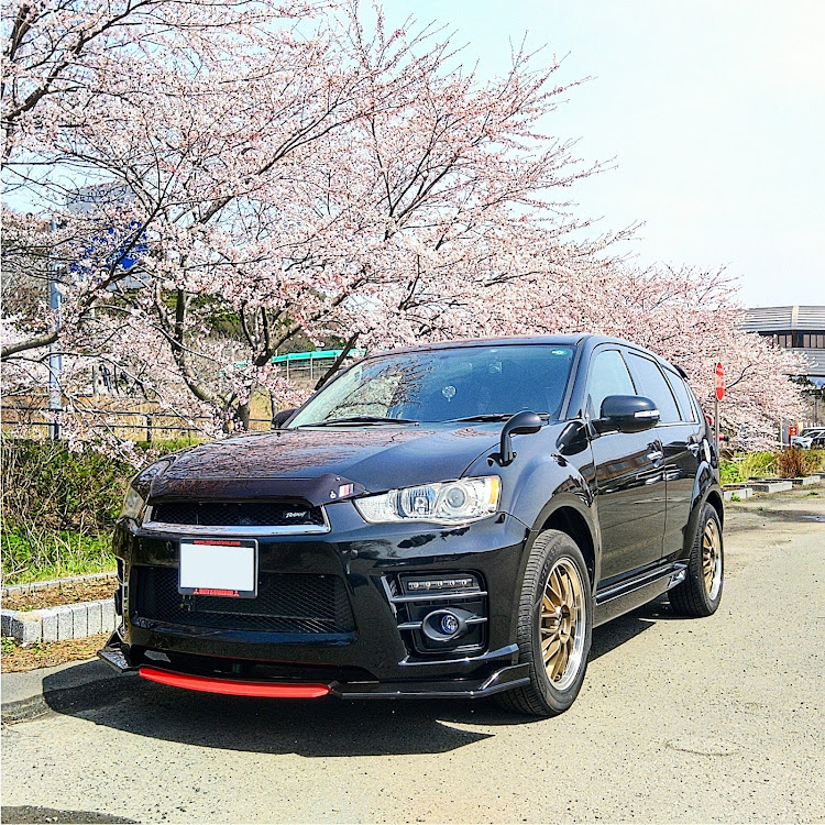 アウトランダーのローデスト・秋田・絶滅危惧種・桜コラボ🌸・灯台とコラボに関するカスタム事例の投稿画像1枚目