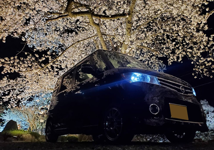 ルークスのクルマ好きと繋がりたい・桜と愛車・桜とコラボ・ドライブに関するカスタム事例の投稿画像1枚目