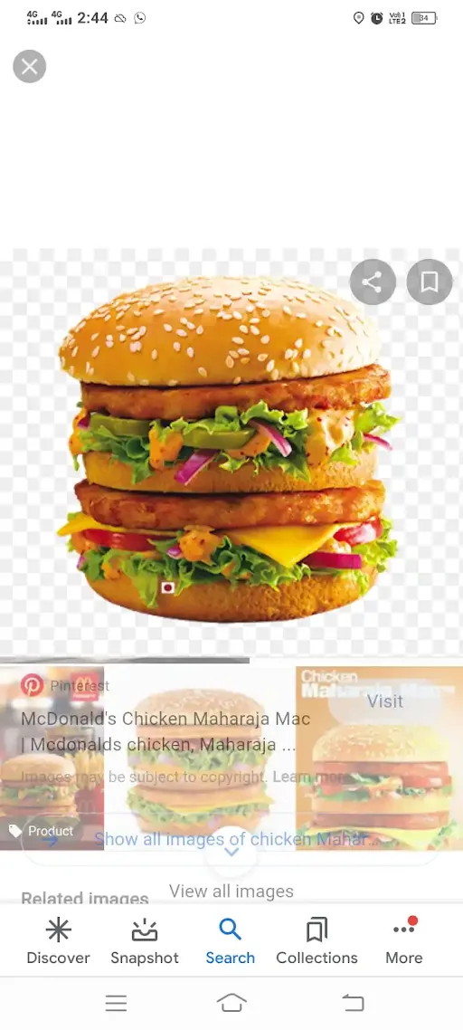 Veg Maharaja Burger