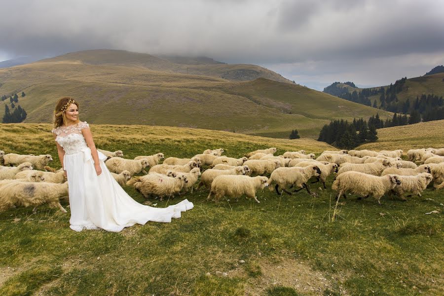 Hochzeitsfotograf Ciprian Grigorescu (cipriangrigores). Foto vom 27. September 2018