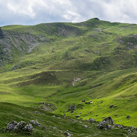 Verdi Dolomiti di 