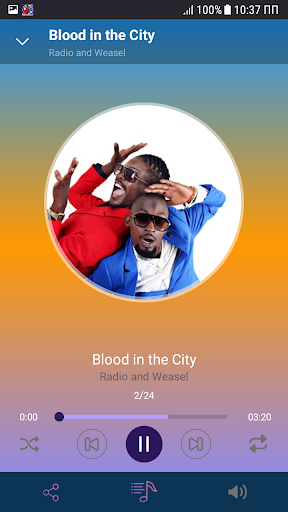 Radio and Weasel songs offline