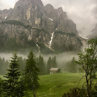 Foggy summer  di Elbaeken