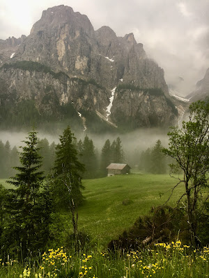 Foggy summer  di Elbaeken