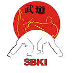 Cover Image of Download Basic Katas Shotokan free 2.0 APK