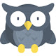 Owls HD Wallpapers - Custom New Tab