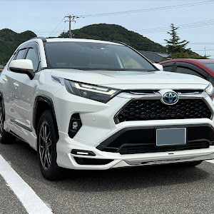 RAV4 AXAP54