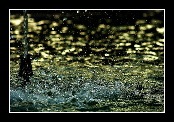 Splash! di farmacista78