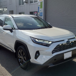 RAV4 AXAH54