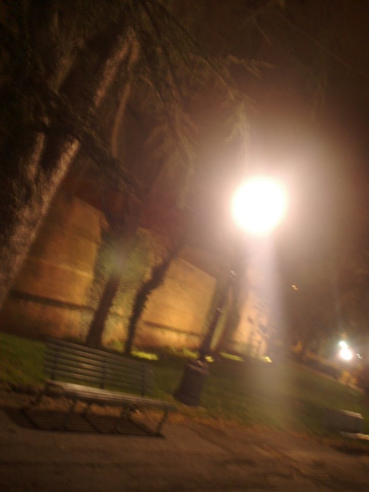Passeggiando nel parco di notte... di mickey83