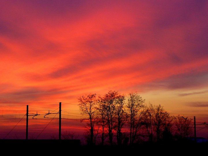 Tramonto fra i tralicci di damadaphne