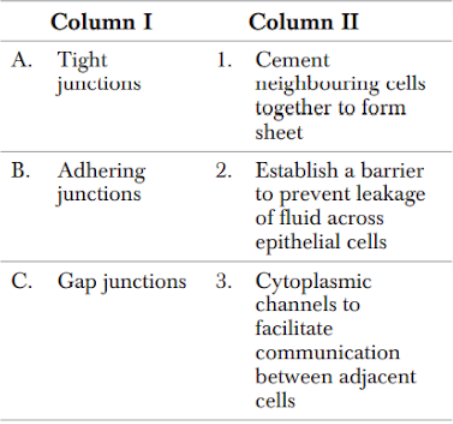 Epithelial Tissues or Epithelia