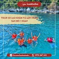 Tour Đà Nẵng [Lambaba] Khám Phá Hòn Ngọc Xanh Cù Lao Chàm Và Lặn Ngắm San Hô 1 Ngày