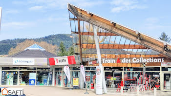 locaux professionnels à Saint-die-des-vosges (88)