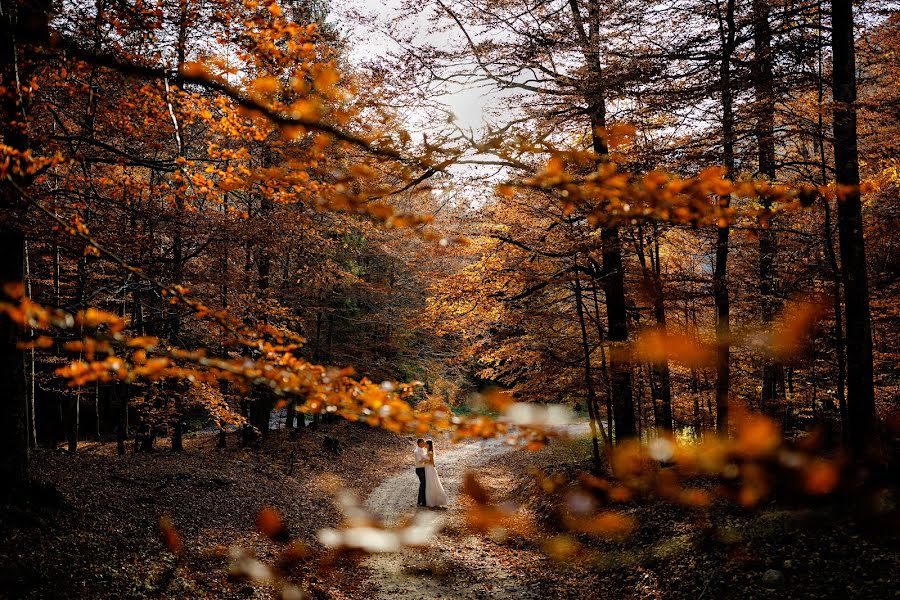 Hochzeitsfotograf Marius Barbulescu (mariusbarbulescu). Foto vom 27. November 2018