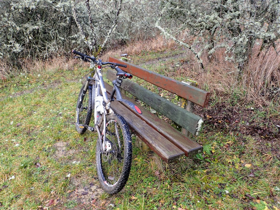 Faire Du Vélo En Plein Air – Une Femme Âgée En Gilet Jaune Faisant Du Vélo  Sur Une Route Un Jour De Printemps, Vue Arrière Banque D'Images et Photos  Libres De Droits.