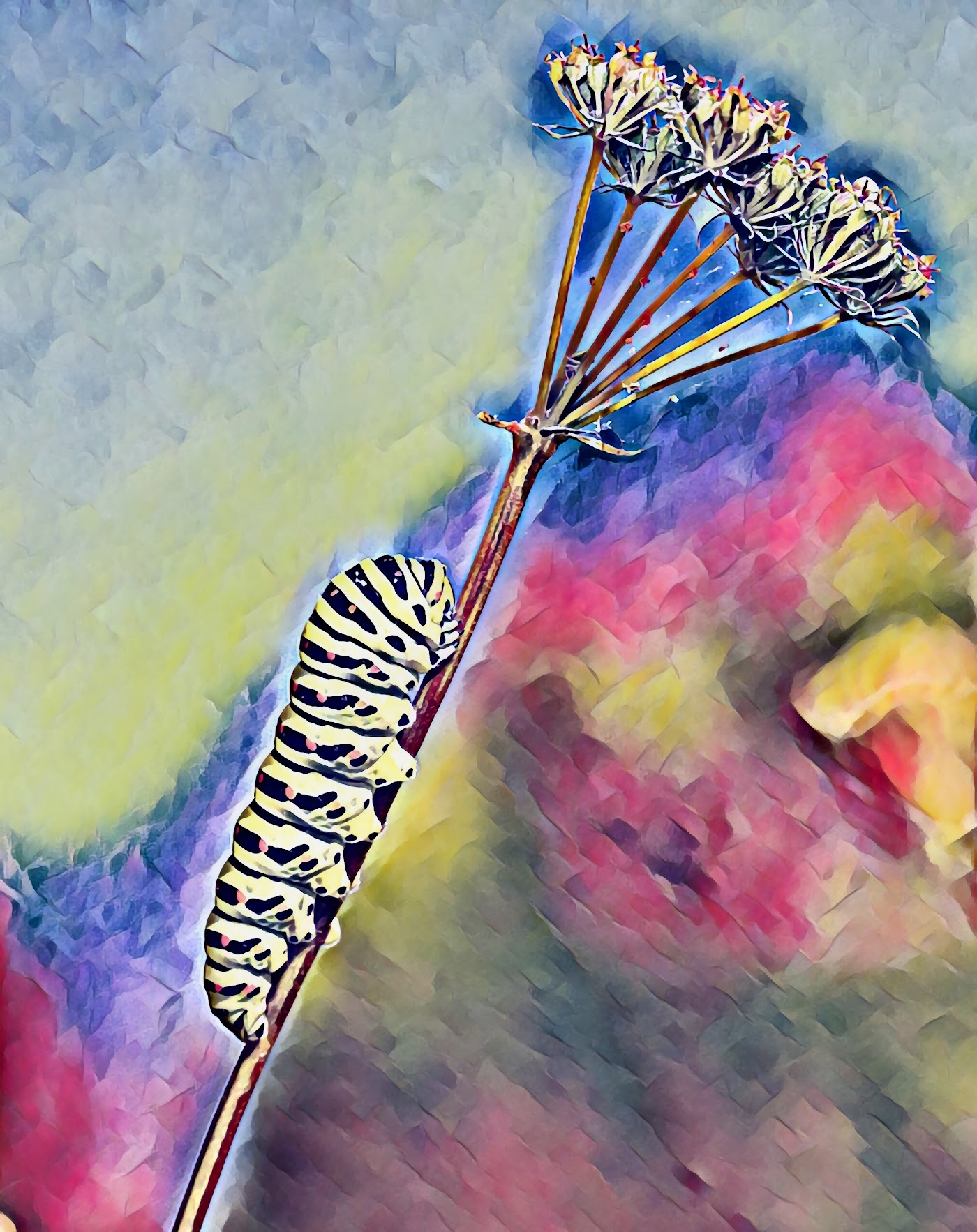Watercolour Restore Ostrich Headband