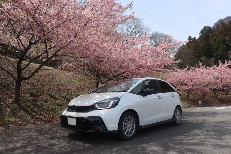 フィットの頭文字D・群馬県・FIT RS・妙義山に関するカスタム事例の投稿画像6枚目