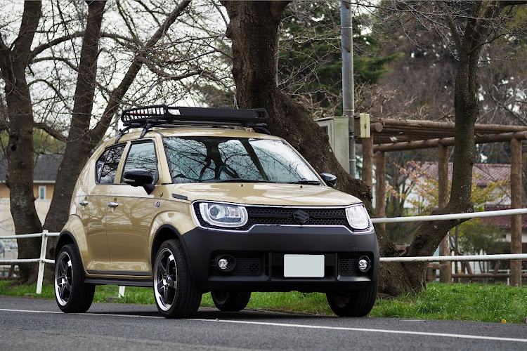 イグニスの春の風物詩と愛車・夏タイヤ交換・ソメイヨシノ・河津桜に関するカスタム事例の投稿画像4枚目