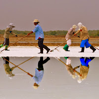 Salt Workers di 