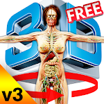 Cover Image of 下载 Female Anatomy 3d 1.2 APK