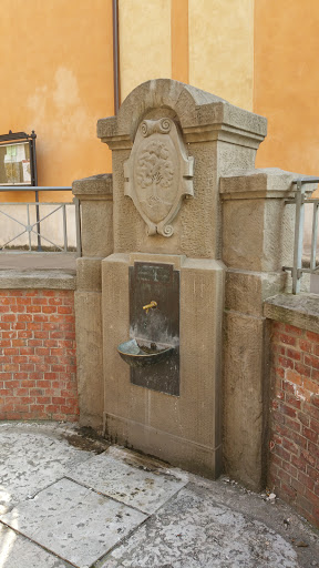 Formigine, Fontana Del Duomo