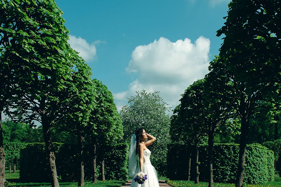 Photographe de mariage Dmitriy Gagarin (dmitry-gagarin). Photo du 15 juin 2017