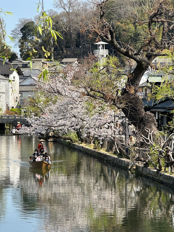ミニ コンバーチブルの夜桜と愛車・ボンネットカバー・岡山・神戸に関するカスタム事例の投稿画像2枚目