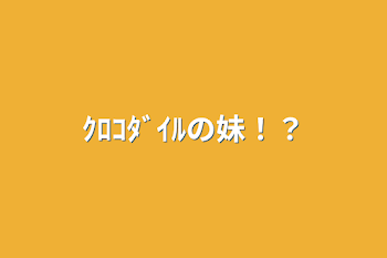 ｸﾛｺﾀﾞｲﾙの妹！？