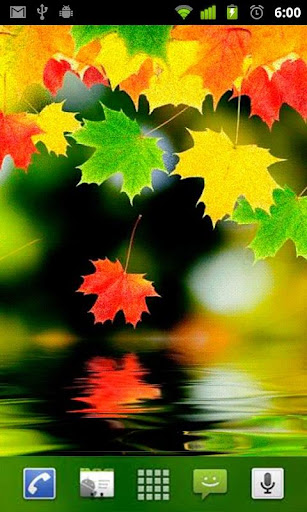 Colorful Autumn Live Wallpaper