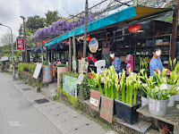 竹子湖 故鄉海芋餐廳