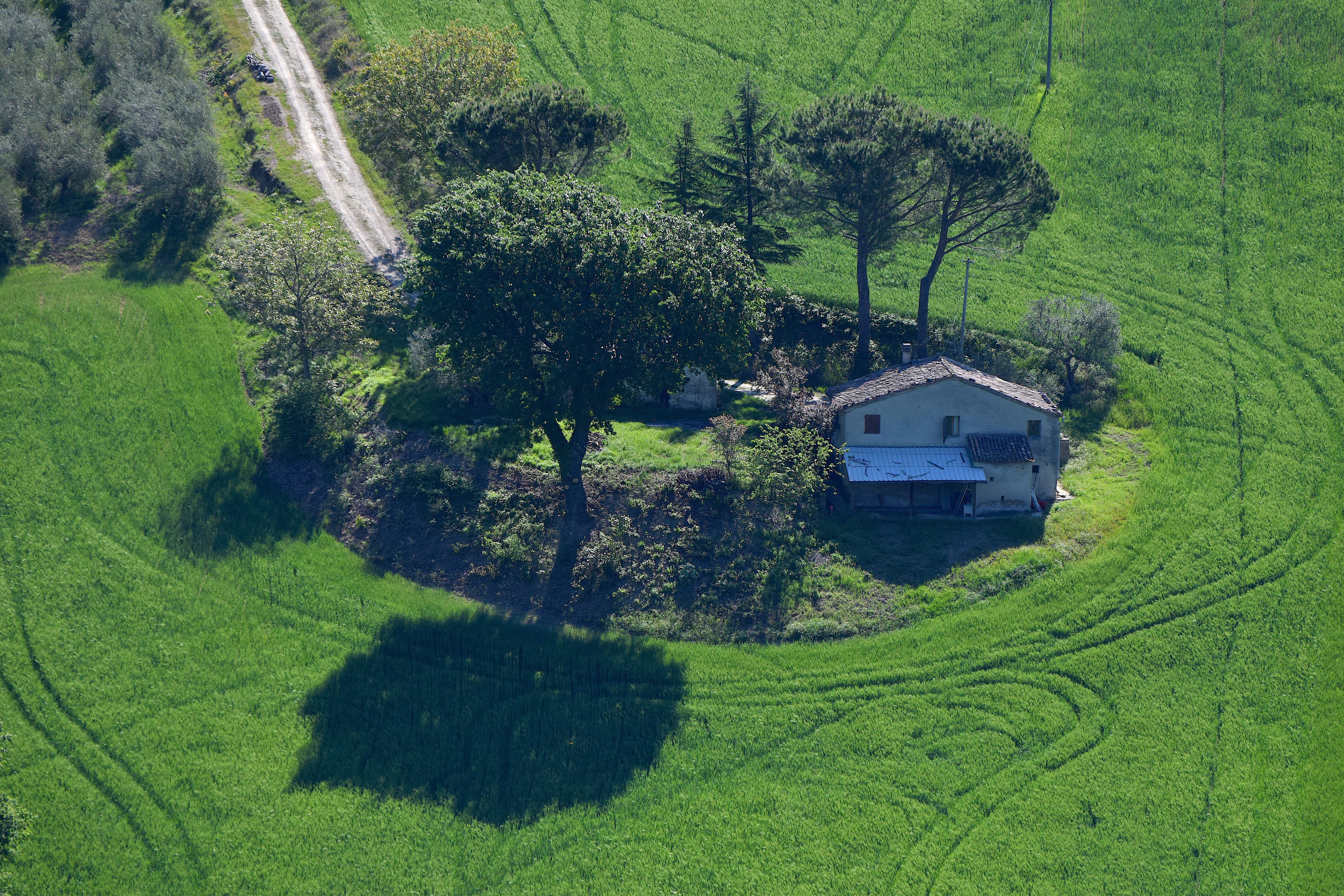 fuori dal mondo di s_ornella