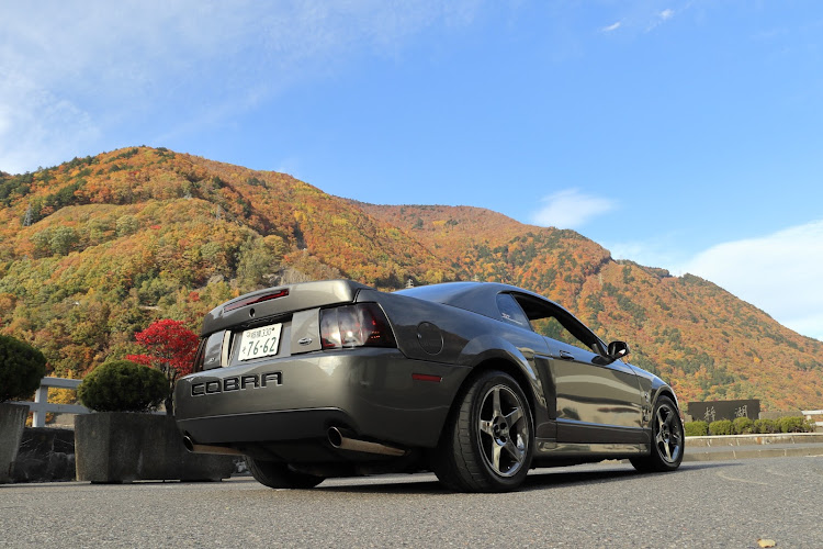 マスタングSVTコブラの紅葉・SVT cobra・ダム・滝・紅葉と愛車に関するカスタム事例の投稿画像13枚目