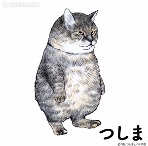猫又虎次郎さんが投稿したカスタム事例の投稿画像1枚目