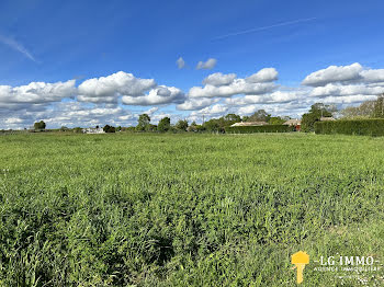 terrain à Mortagne-sur-Gironde (17)