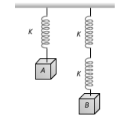 Spring-Mass System