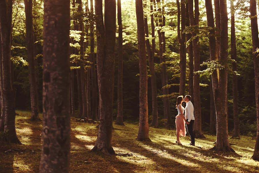 Fotógrafo de bodas Milan Mitrovic (milanmitrovic). Foto del 28 de junio 2019