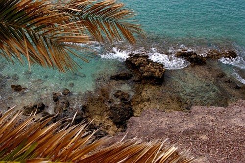 Fuerte di Susy Maglione