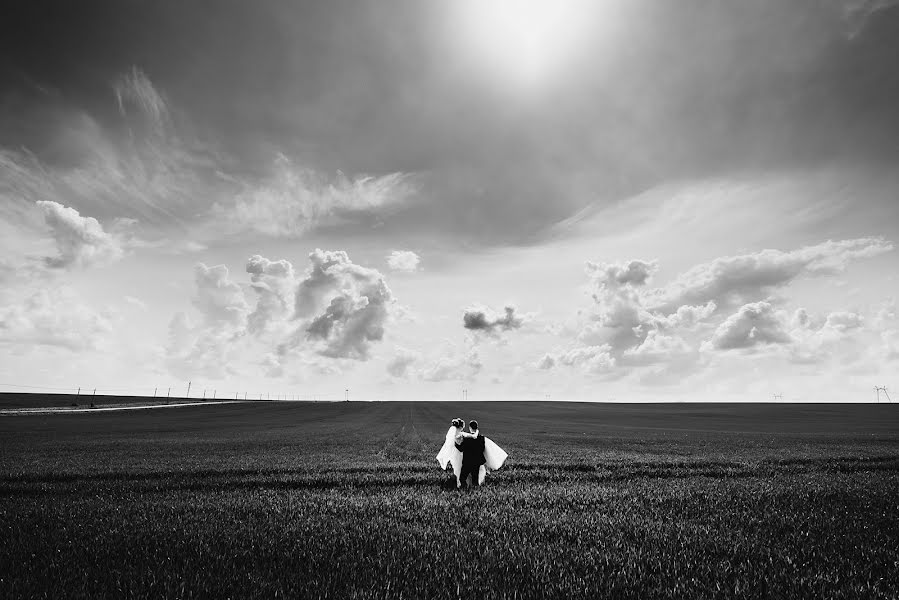 Fotógrafo de bodas Volodimir Kovalishin (nla6ep). Foto del 24 de mayo 2019